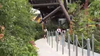 USJ 2016 7 25 ダイナソー待ち列までの道