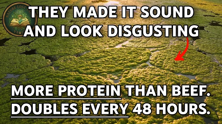 This Plant Has More Protein Than Beef, Doubles Every 48 Hours (But It's Called Pond Scum)