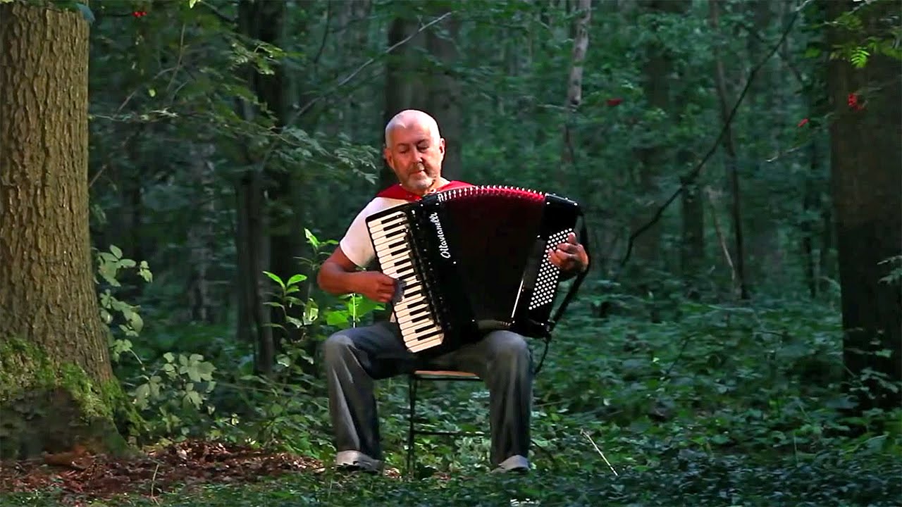 Французская музыка аккордеон. French Accordion. Ютуб - French Music - Accordion.