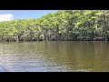 Caddo Lake