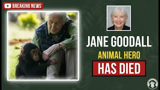 Full “Remembering Jane Goodall (1934–2025) | A Legacy That Changed the World” Guide