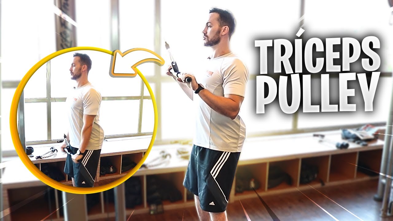 COMO FAZER TRÍCEPS PULLEY Fisioprev YouTube