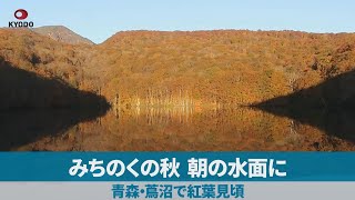 みちのくの秋、朝の水面に 青森・蔦沼で紅葉見頃