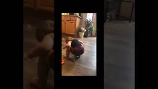 Hilarious Baby Tries To Sit In Tiny Toy Chair Too Cute And Too Small