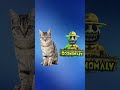 😱 These Animals Shouldn’t Exist… | Zoonomaly