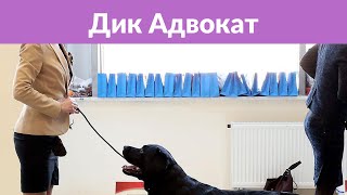 На Ольгу Бузову написали заявление в полицию На Ольгу Бузову написали заявление в полицию