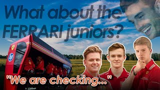 картинка: Юниоры Ferrari Driver Academy: где они сейчас?
