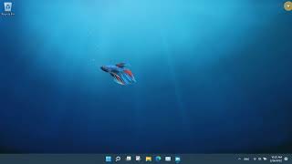 Install Simplified Chinese keyboard input on Windows 11 screenshot 4