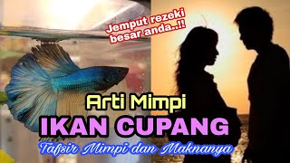 ARTI MIMPI IKAN CUPANG, JEMPUT REZEKI BESAR ANDA.  tafsir mimpi dan maknanya.
