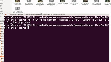 demonstration of imagemagick filter and file rename