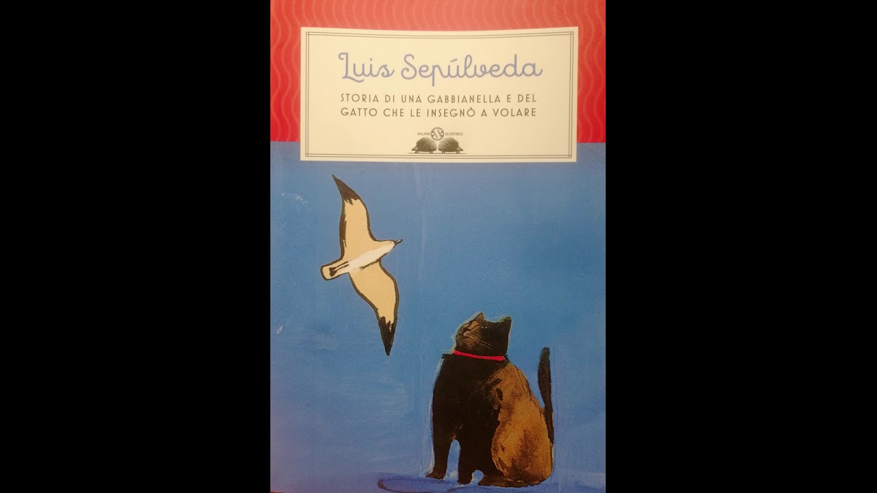 Il Gatto Che Insegnò Alla Gabbianella A Volare