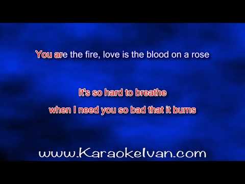 Everybody Loves An Outlaw - Blood On A Rose KARAOKE