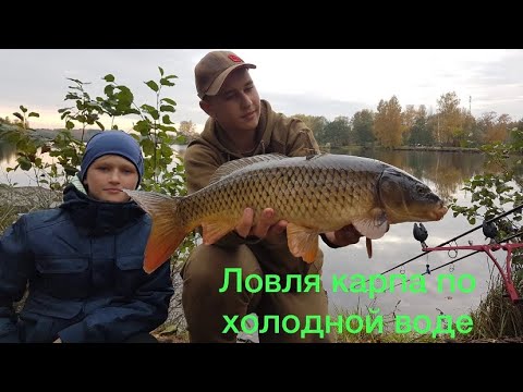 Ловля карпа поздней осенью (карпфишинг) Как поймать карпа по холодной воде?