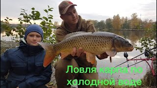 Ловля карпа поздней осенью (карпфишинг) Как поймать карпа по холодной воде?