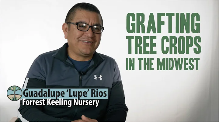 Grafting Tree Crops In The Midwest | Lupe Rios - F...
