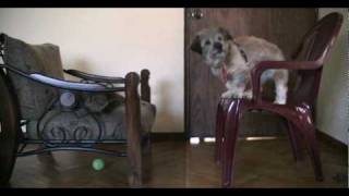 Another Split Screen Clone Effect Test With Corel Vidieo Studio X2