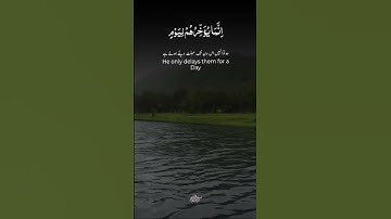 تلاوة تهز القلوبتلاوة مؤثرةقران يبكي القلوبتلاوة خاشعة جدا #السعودية #اكسبلور #المغرب #المصحف