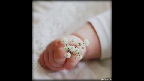 إن ربي لسميع الدعاء تلاوة الشيخ المنشاوي #القران #القرآن_الكريم #المنشاوي