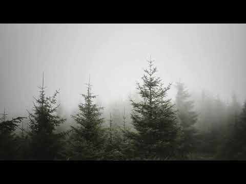 To Dream to Never - Dreamstvrshine (nightcore)