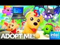 adopt me on intel HD graphics with celeron n2840 | roblox on chromebook gaming