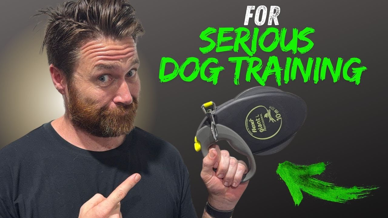 Единственные поводки, которые вам понадобятся...