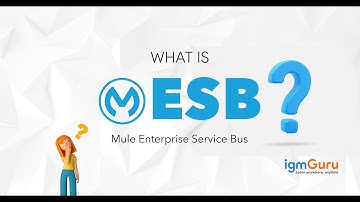 What is Mule Enterprise Service Bus | Mule ESB Tutorial | Mulesoft Training [Updated 2025] - igmGuru