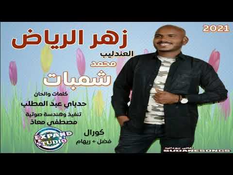 جديد محمد شمبات زهر الرياض اغاني سودانية 2020
