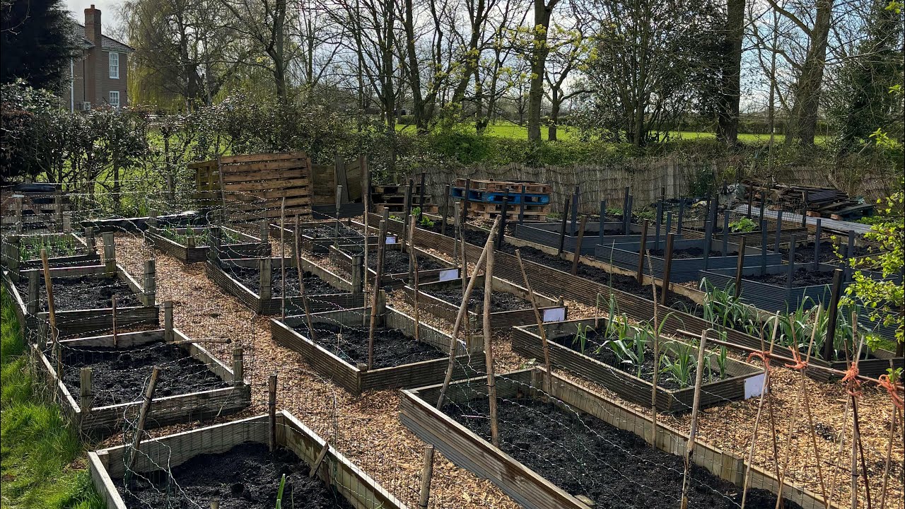 Getting the allotment ready for spring sowing - YouTube