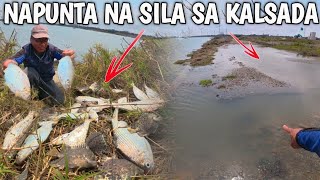 Umapaw Na Hanggang Kalsada At Ang Dami Kong Nahuli Sa Lalaki At Lapad Wow Blessings 