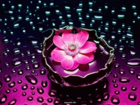 Bluetech - Oleander (Phutureprimitive Symbiotic Remix) [Visualization]
