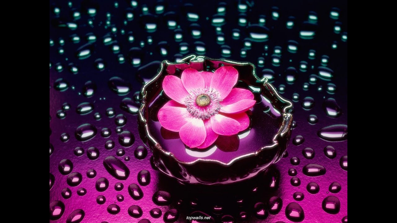 bluetech oleander phutureprimitive symbiotic remix mp3 bluetech oleander phutureprimitive symbiotic remix mp3