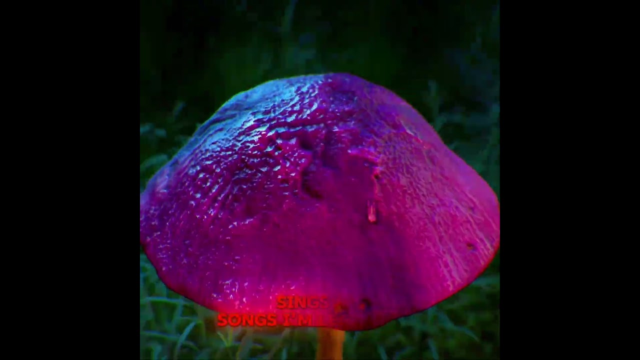 “The Burden” by Jimmy Zurek is a raw look into the quiet weight of addiction - 