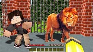 ASLAN KAFESİNİN İÇİNE GİRDİK! 😱 - Minecraft