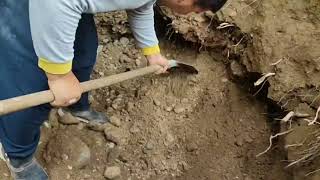 Oda mezar kapağını buldular 4 metrede 
