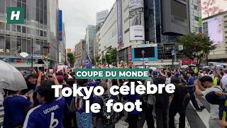 Célébrations Pays-Bas - Japon : les supporters japonais sont les plus disciplinés du monde