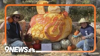 Talented sculptors take pumpkin carving to a new level