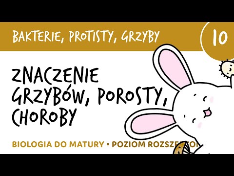 Wideo: Choroby grzybów: nazwy, zdjęcia i opis