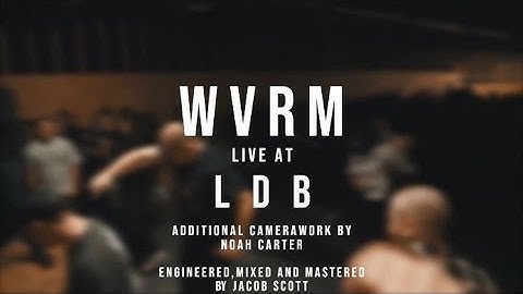 Wvrm - 02/08/19 (Live @ LDB Fest)