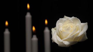 Thánh Lễ cầu cho các đẳng linh hồn vừa qua đời vì vi rút và cầu bình an giữa đại dịch kinh hoàng