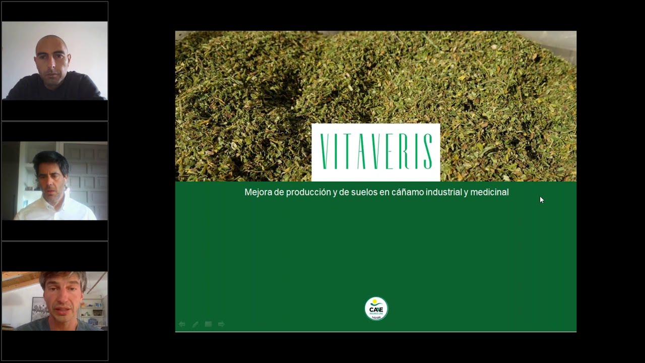 CÁÑAMO INDUSTRIAL y CANNABIS MEDICINAL  Un cultivo de futuro