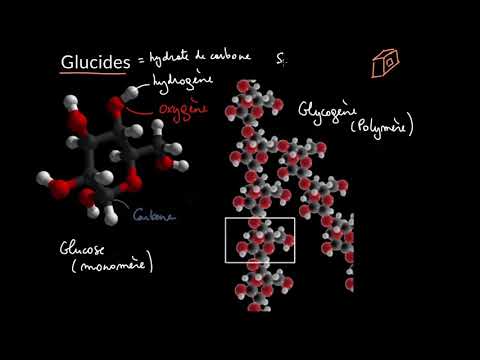 Vidéo: Qu'est-ce qu'une solution de glucides phosphorés ?