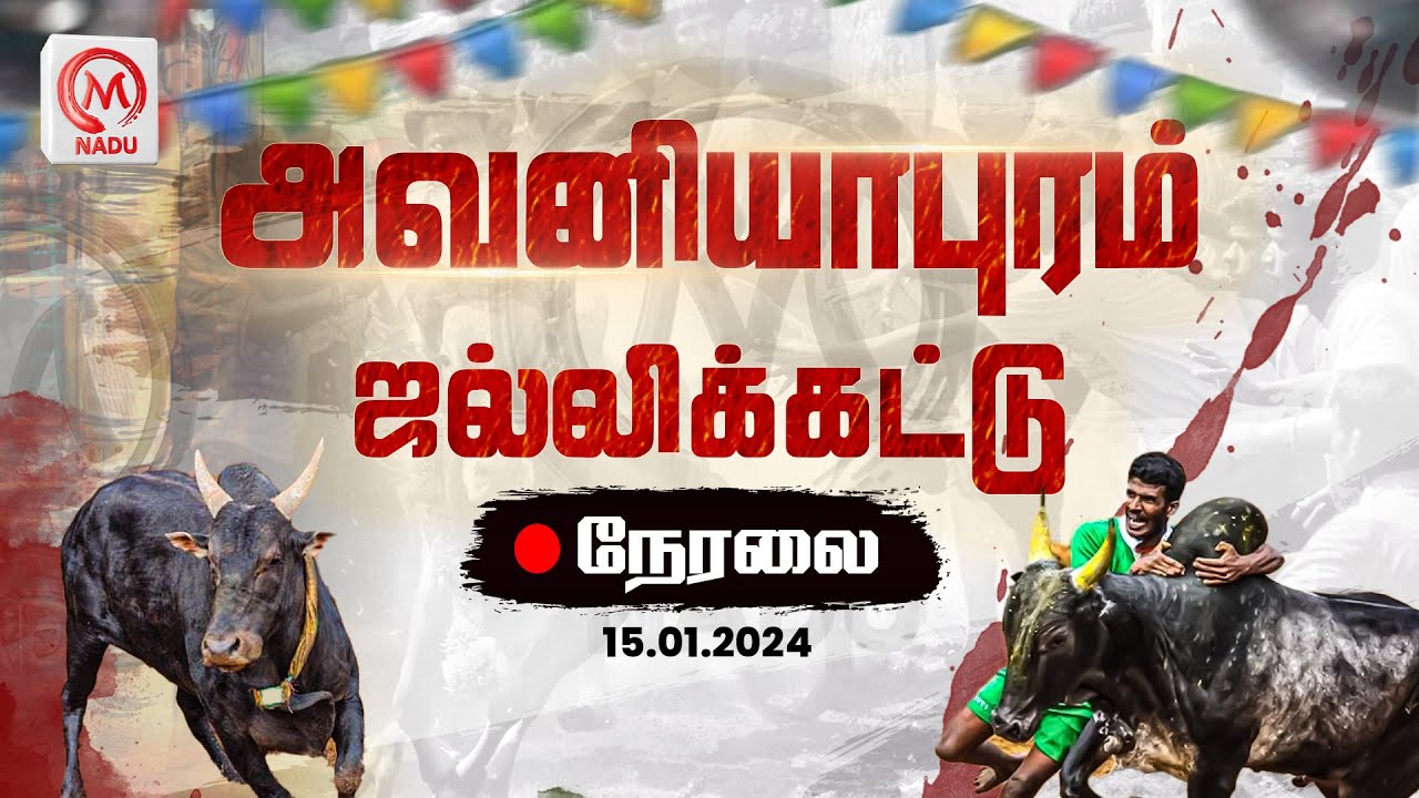 🔴 Live Avaniyapuram Jallikattu 2024 அவனியாபுரம் ஜல்லிக்கட்டு