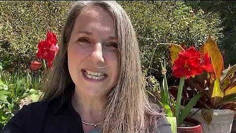 Catherine Spear: When Protected Speech Causes Harm...
