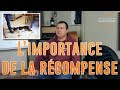 Astuces canine 7  limportance de la rcompense