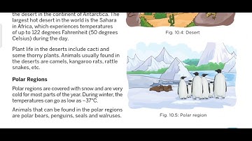 Class 6th Subject Science Ch-10 part 2 by ANUJ YADAV SIR 24 11 20