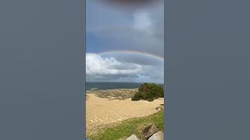 Black Bugs #music #song #rainbow #rainbows