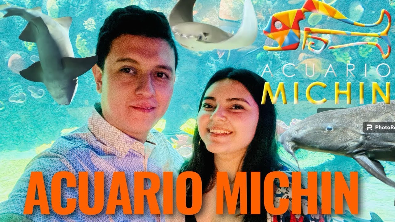 ACUARIO MICHIN EN CDMX 🐠| ¿VALE LA PENA? | Megalópolis CDMX - YouTube