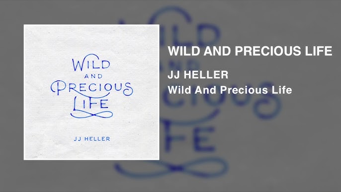 Praise for This One Wild and Precious Life by Sarah Wilson 