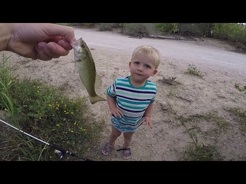 Miniature de la vidéo : il FRAPPE un POISSON a 1 AN
