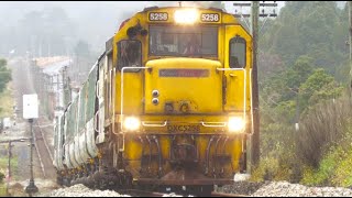 Kiwirails Busy Midland Line - Sheffield to Greymouth
